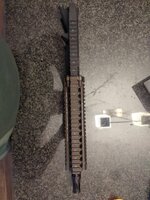 IMG_3237.jpeg