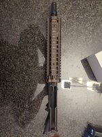 IMG_3239.jpeg