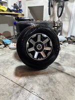 IMG_6694.jpeg