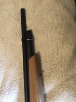 IMG_5459.jpeg