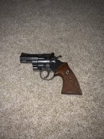 IMG_2433.jpeg
