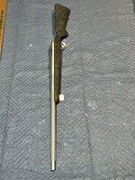 IMG_0181.jpeg