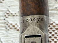 IMG_0208.jpeg