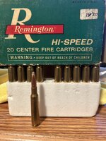IMG_2231.jpeg