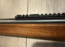 IMG_0226.jpeg