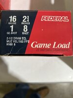 IMG_2364.jpeg