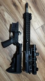IMG_7550.jpeg