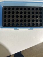 IMG_2392.jpeg