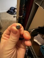 IMG_0347.jpeg