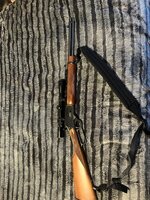 IMG_7820.jpeg
