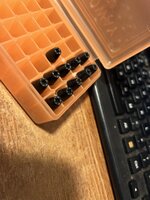 IMG_2412.jpeg