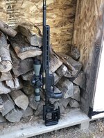 IMG_5894.jpeg