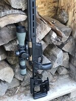 IMG_5895.jpeg
