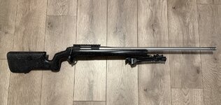 IMG_0257.jpeg