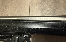IMG_0259.jpeg