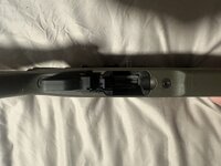 IMG_2184.jpeg