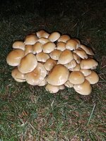 20250104_173457[1].jpg