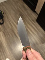 IMG_8070.jpeg