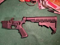 Lower 2.jpg