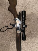 IMG_4178.jpeg
