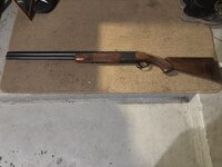 IMG_0261.jpeg