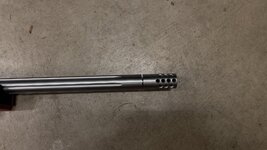 IMG_5141.jpeg