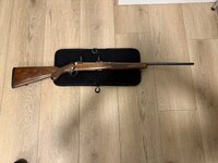 IMG_3187.jpeg