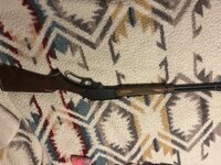 IMG_6879.jpeg