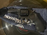 IMG_6881.jpeg