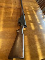 IMG_3507.jpeg
