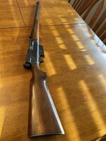IMG_3506.jpeg