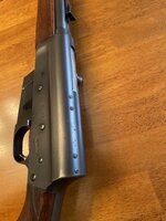 IMG_3510.jpeg