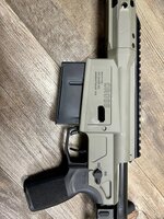 IMG_8126.jpeg