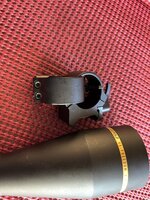 IMG_1137.jpeg