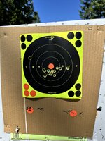 IMG_0433.jpeg
