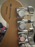 IMG_4646.jpeg