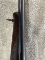 IMG_4571.jpg