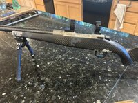 IMG_6958.jpeg
