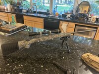 IMG_6967.jpeg