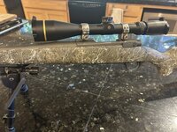IMG_6969.jpeg