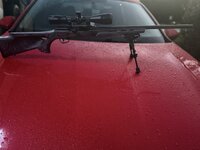 IMG_0849.jpeg