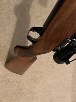 IMG_3805.jpeg
