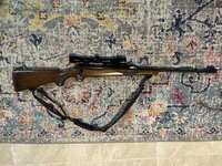 IMG_1093.jpeg