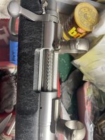 IMG_7053.jpeg