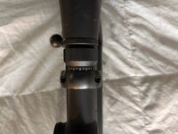 IMG_5711.jpeg