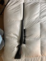 IMG_5709.jpeg