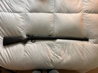 IMG_5713.jpeg