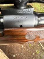 IMG_5807.jpeg
