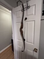 IMG_5443.jpeg