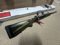lZjI7iw.jpg